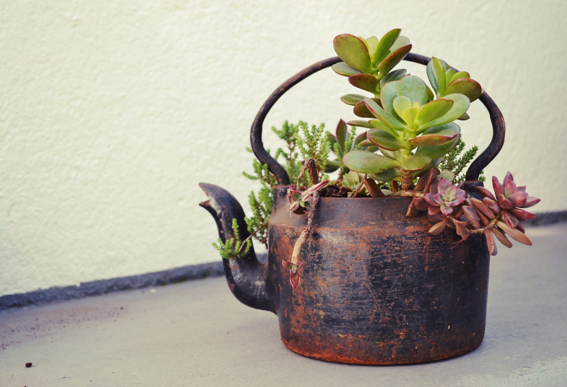 Transformar o que ia para o lixo em algo belo é sustentável e ajuda a economizar. Veja como é simples ter boas ideias Tem até nome: o upcycicling (soma das palavras reciclar e “para cima”, em inglês) mostra que o que podia ser lixo pode virar luxo graças a boas ideias. Além de sustentável, é barato e, garanto, você nem vai notar que existia alguma possibilidade de essas peças serem descartadas. Em tempos de vacas magras, então, seria um verdadeiro desperdício. 