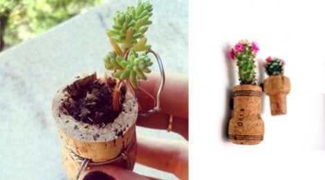 Como plantar dentro de rolhas - DIY