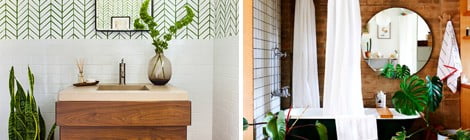 Decoração de banheiro - quais as plantas ideais para este ambiente?