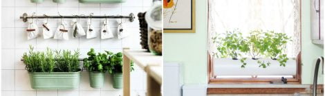 12 ideias para plantar ervas e temperos na sua cozinha