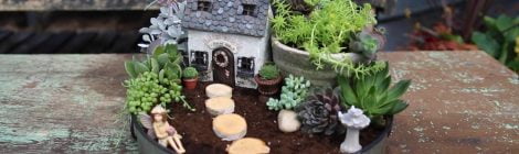 Como fazer um mini jardim de suculentas encantador