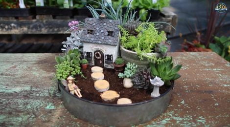 Como fazer um mini jardim de suculentas encantador