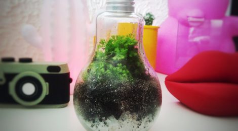 Como fazer terrário em uma lâmpada - DIY