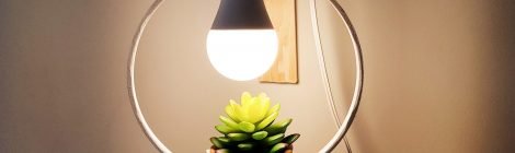 Como fazer Luminária com planta - DIY