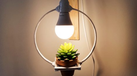Como fazer Luminária com planta - DIY