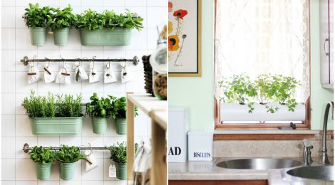 12 ideias para plantar ervas e temperos na sua cozinha