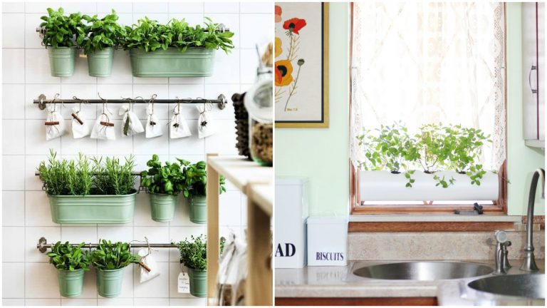12 ideias para plantar ervas e temperos na sua cozinha