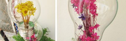 Como abrir uma lâmpada e colocar flores