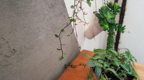 Como fazer parede de cimento queimado com vasos para plantas