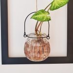 Como fazer um quadro com planta