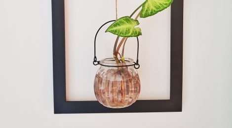 Como fazer um quadro com planta