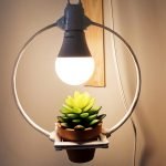 Como fazer Luminária com planta – DIY