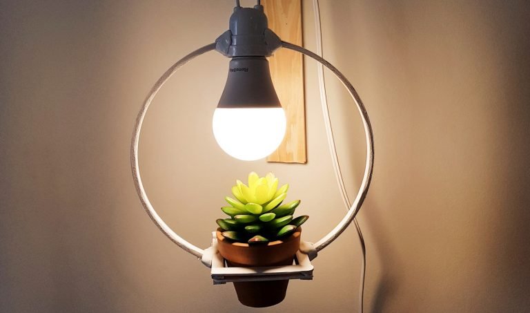 Como fazer Luminária com planta – DIY