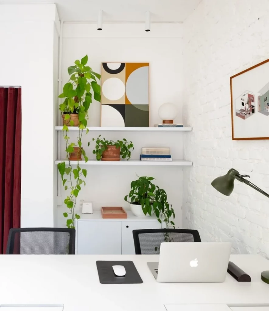 Escritório com paredes brancas, prateleiras com quadro e plantas trepadeiras, mesa compartilhada com duas cadeiras.