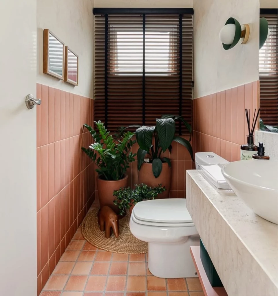 Lavabo com vasos de barro grandes e plantas, metade da parede com cerâmica salmão e quadros pendurados.
