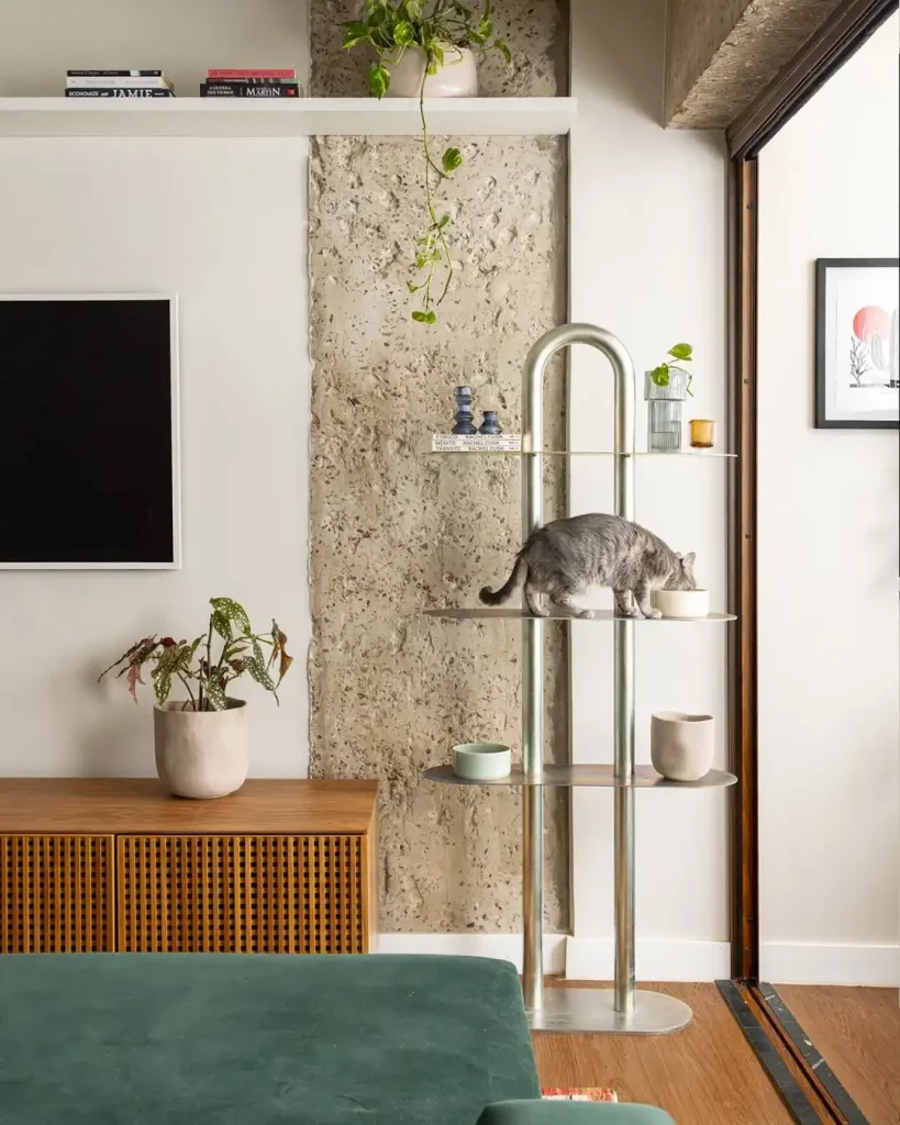 Canto de parede com cimento queimado, móvel para gato, aparador de madeira com planta.