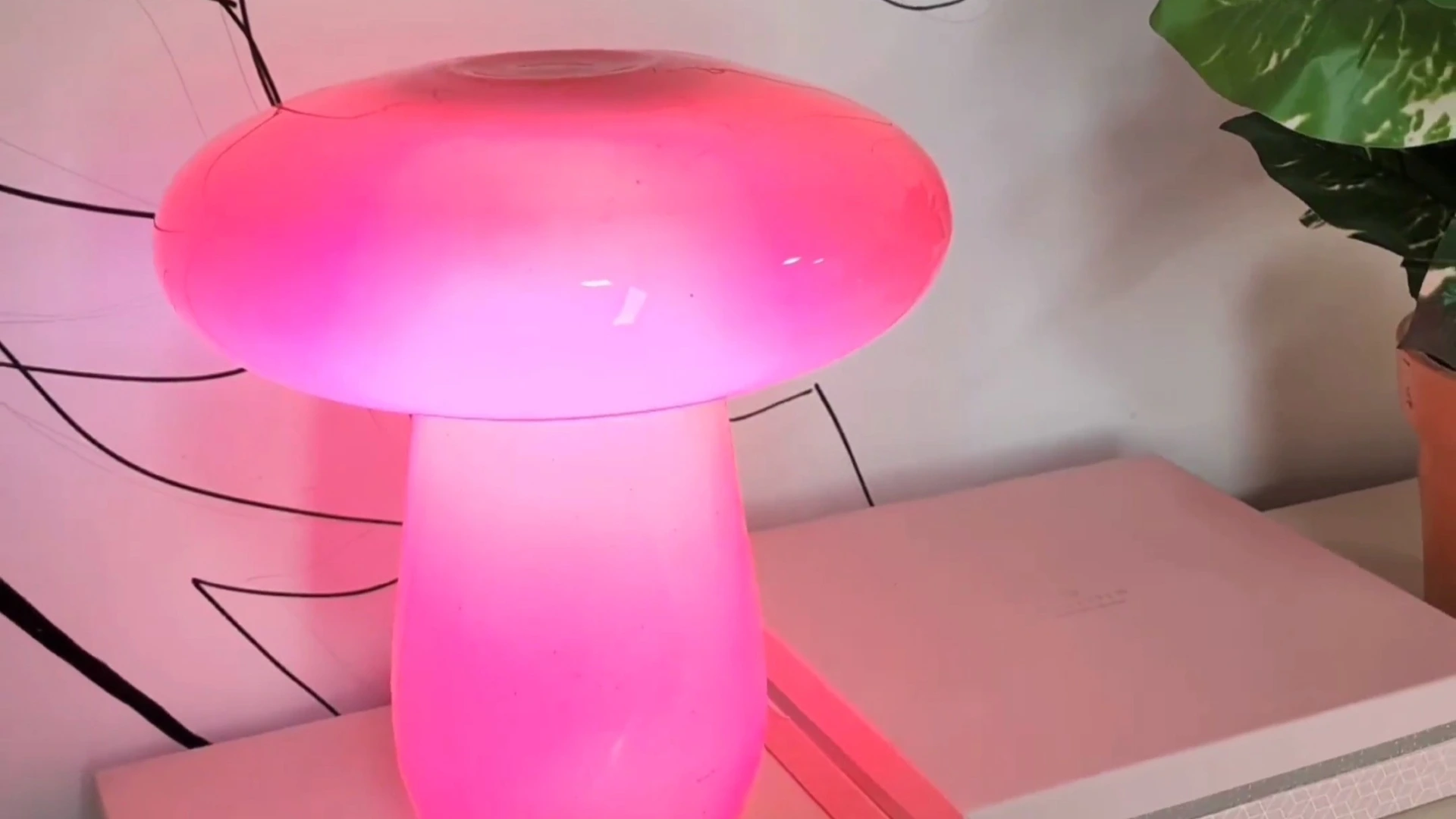 Como fazer uma luminária sem eletricidade em três passos