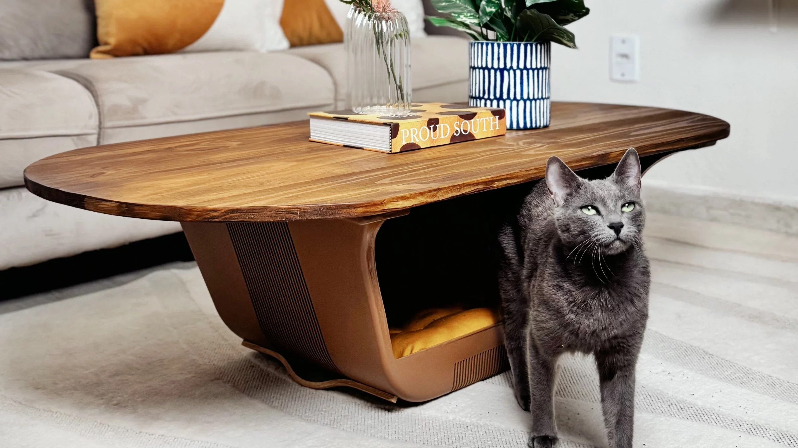 Amou, Levou, Episódio 5: mesa de centro com caminha pet
