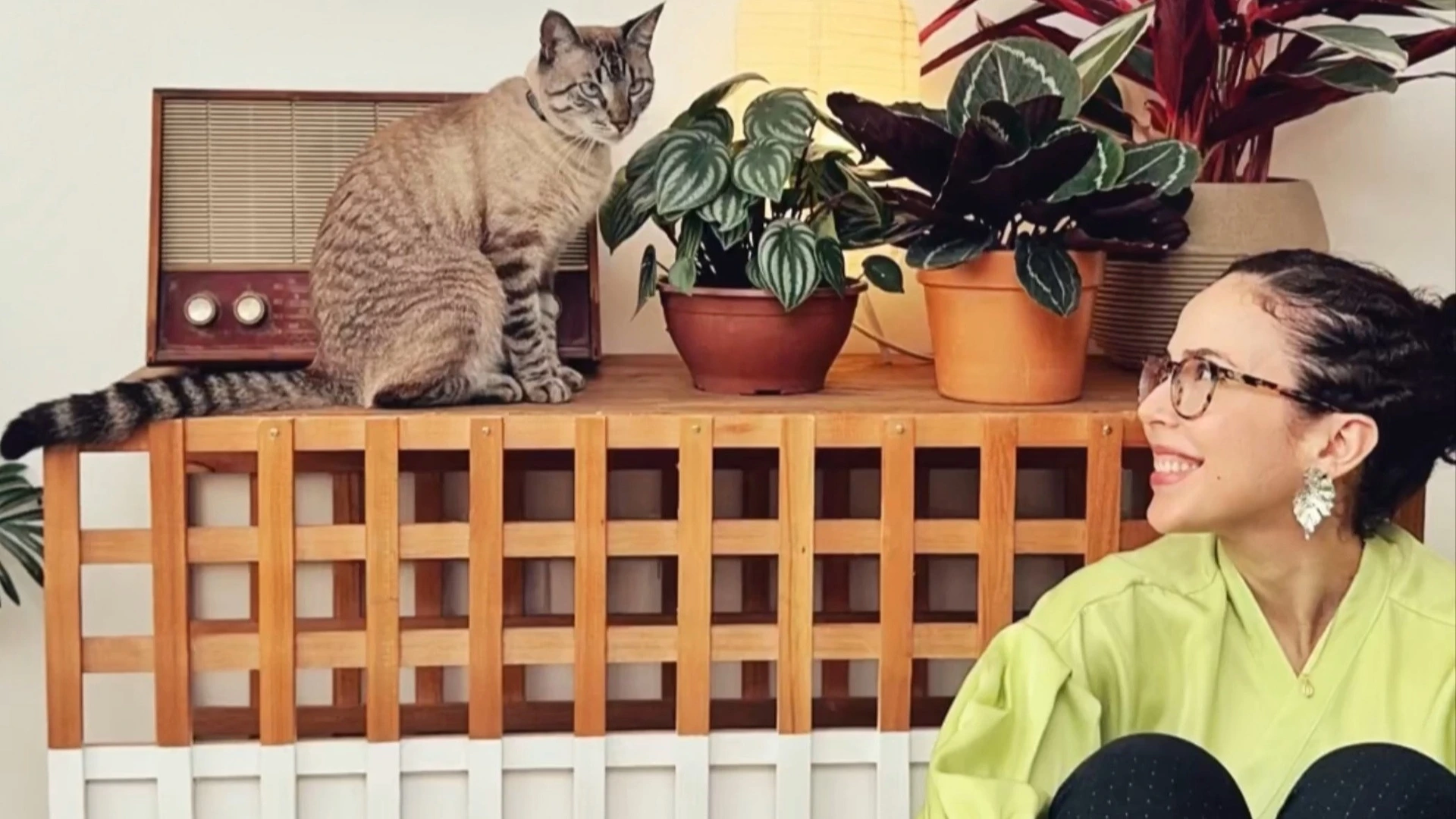 Como fazer móvel para esconder a caixa de areia de gato: passo a passo