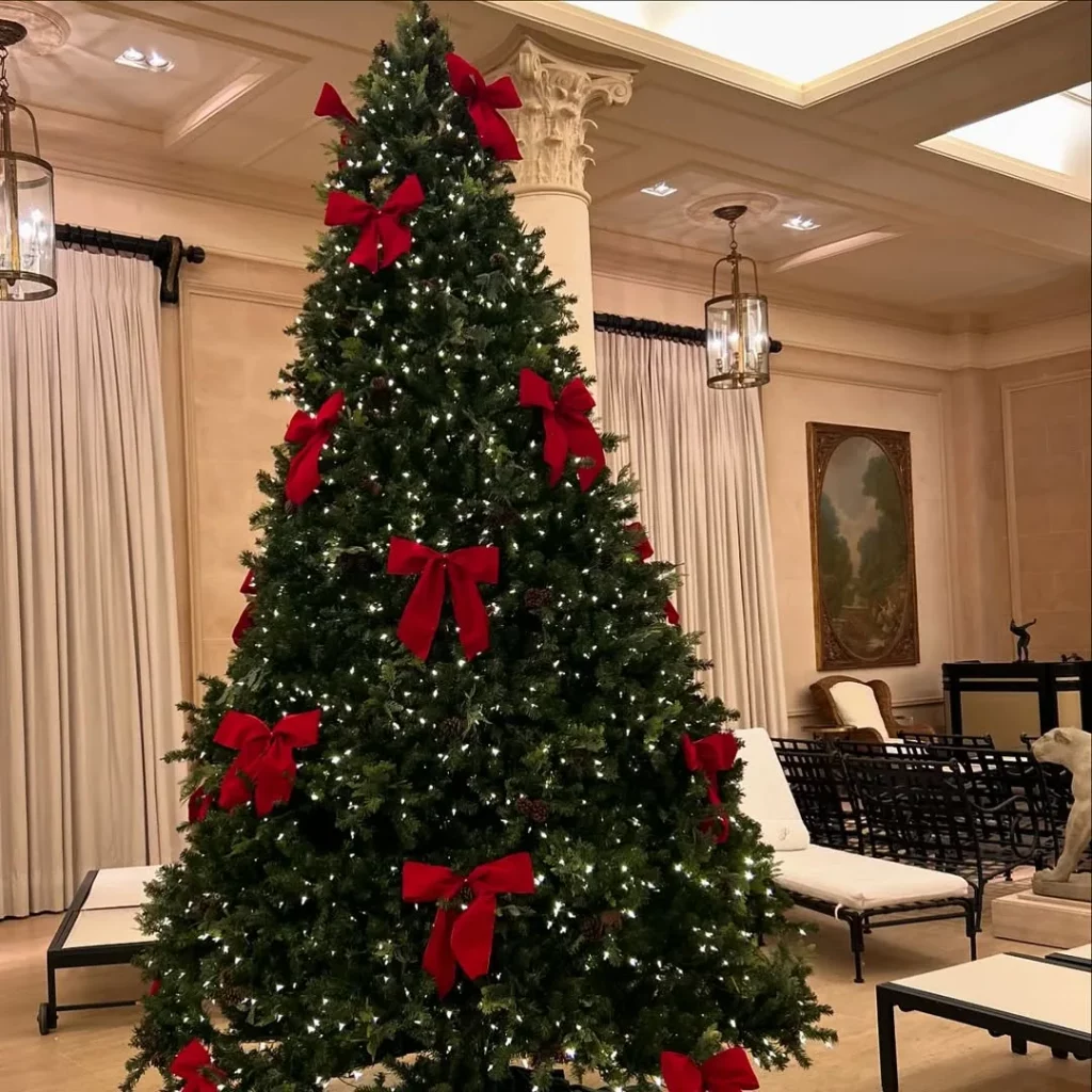 Árvore de natal com poucos enfeites, laoços vermelhos e luzes.