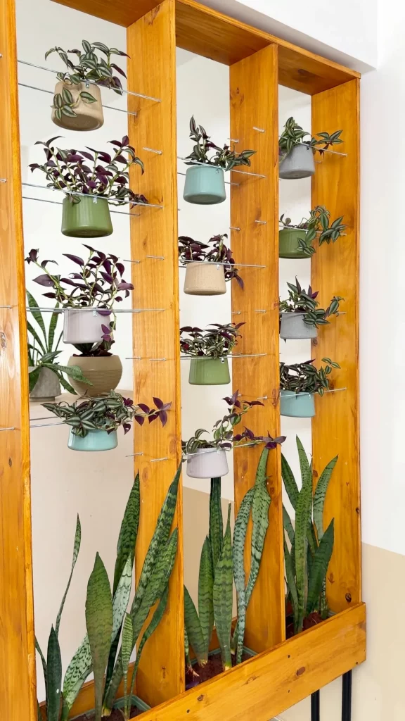 Divisória de ambientes de madeira com vasos de plantas.