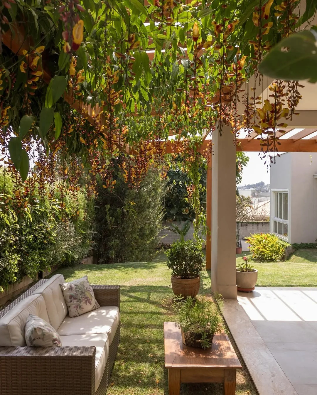 Pergolado no jaridm com plantas crescendo sob ele, sofá branco e gramado.