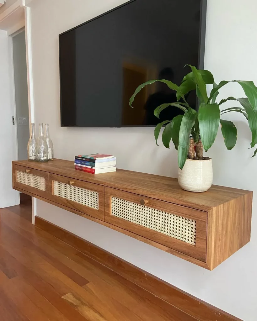 Rack suspenso com televisão acima, vaso de plantaas e palha indiana.
