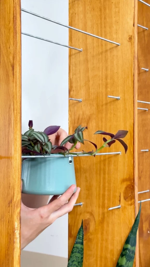 Colocando vaso de plantas apoiados nas barras roscadas na divisória.