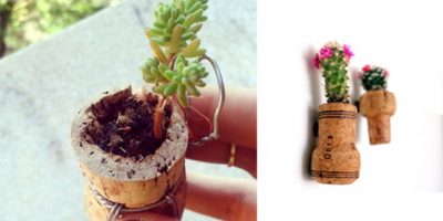 Como plantar dentro de rolhas – DIY