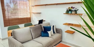 Transformação de sala com parede para gatos