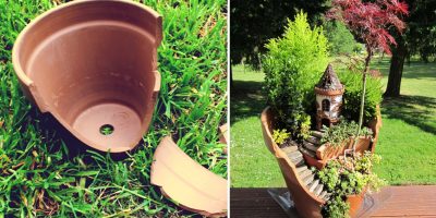Como fazer um minijardim em um vaso quebrado