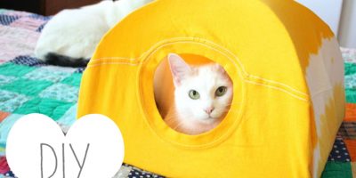 Como fazer uma barraca para gatos