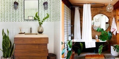 Decoração de banheiro – quais as plantas ideais para este ambiente?
