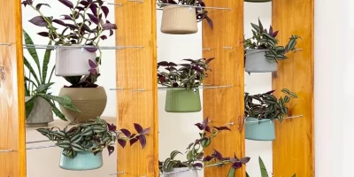 Como fazer divisória de ambientes com plantas para casas alugadas em 6 passos