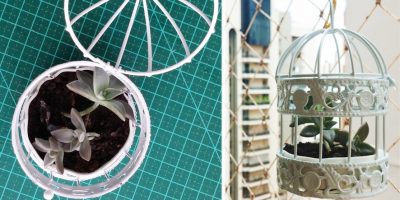 Gaiola na decoração – DIY – vaso para suculentas