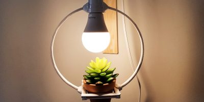 Como fazer Luminária com planta – DIY
