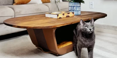 Amou, Levou, Episódio 5: mesa de centro com caminha pet