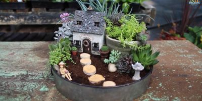 Como fazer um mini jardim de suculentas encantador