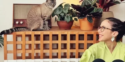 Como fazer móvel para esconder a caixa de areia de gato: passo a passo