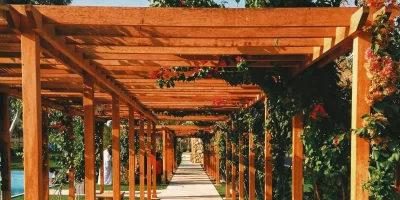 Filza H via Unsplash