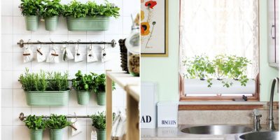 12 ideias para plantar ervas e temperos na sua cozinha