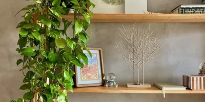 Luise Villa via Dupe