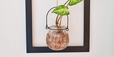 Como fazer um quadro com planta