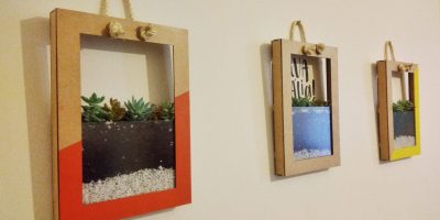 Quadro de suculentas como fazer